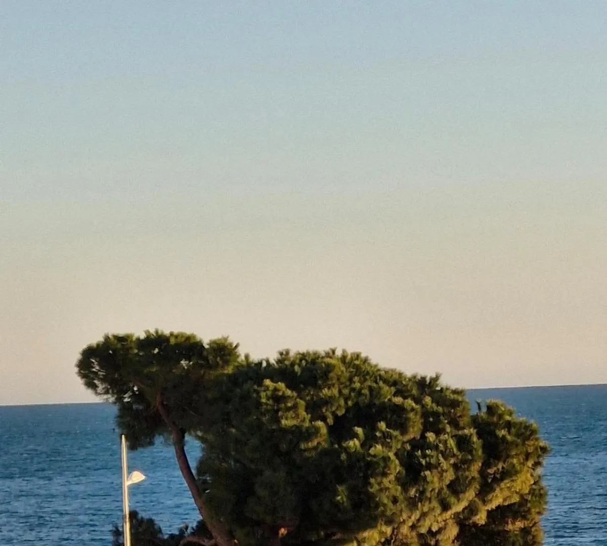 Juan-Les-Pins Centre Apartment Antibes
